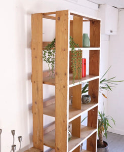 Rustic Floor Standing Bookcase Pair Pigeon Hole Storage Old Shop Display - teakyfinders