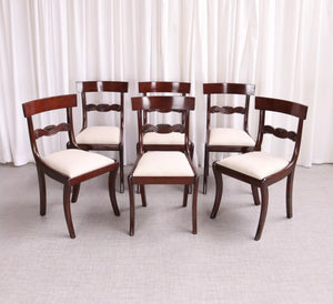 6172 Antique English Regency / William IV 6 Six Cuban Mahogany Dining Chairs 1830 - teakyfinders