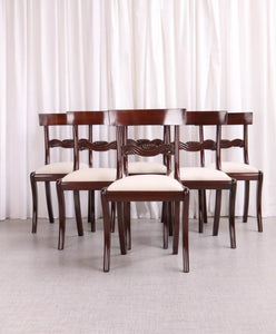 6172 Antique English Regency / William IV 6 Six Cuban Mahogany Dining Chairs 1830 - teakyfinders