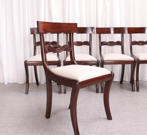 6172 Antique English Regency / William IV 6 Six Cuban Mahogany Dining Chairs 1830 - teakyfinders