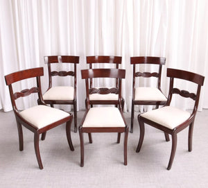 6172 Antique English Regency / William IV 6 Six Cuban Mahogany Dining Chairs 1830 - teakyfinders