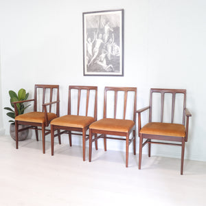 A. Younger Set of Four Volany Dining Chairs in Afromosia - teakyfinders